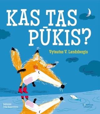 Kas tas Pūkis