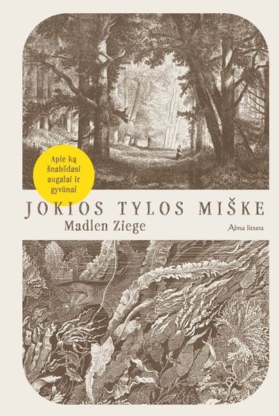 Jokios tylos miške