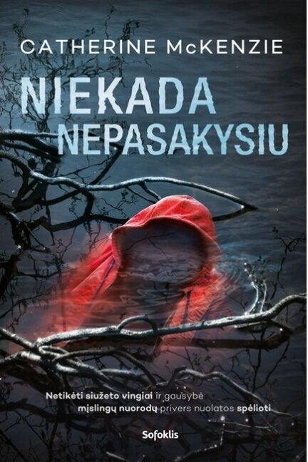 Niekada nepasakysiu