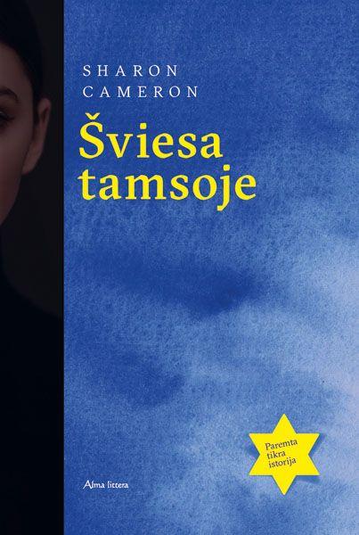 viesa-tamsoje