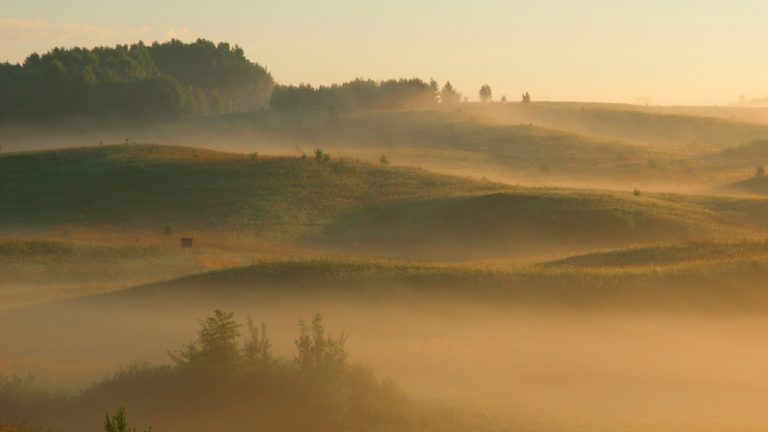 Nuotraukoje – pievų peizažas