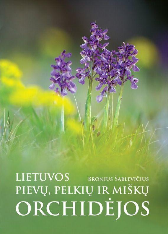 lietuvos-pievu-pelkiu-ir-misku-orchidejos-matomos