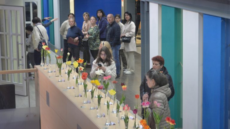 Lankytojai apžiūri tulpių parodą