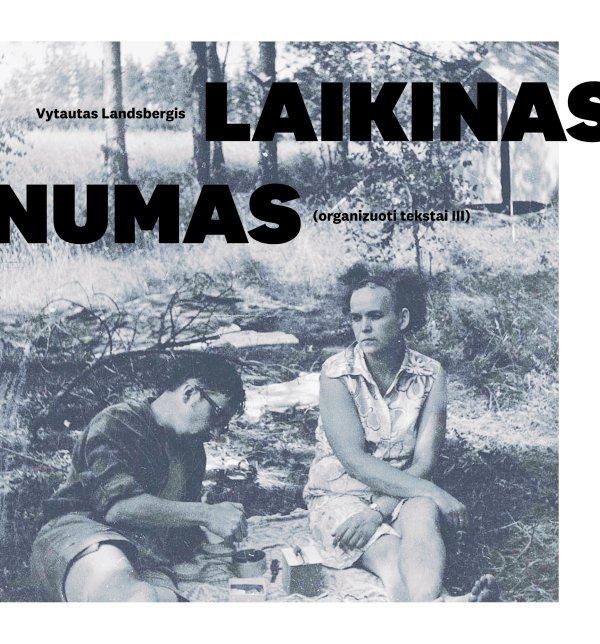 laikinas-numas-organizuoti-tekstai-ii