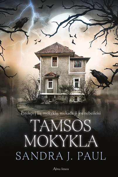 1671605852_Tamsos-mokykla