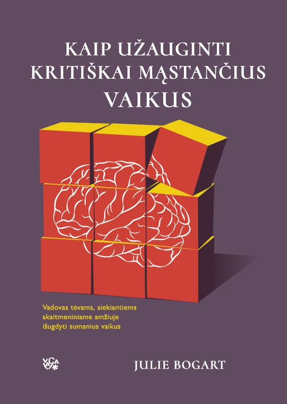 1683784530_kaip-uzauginti-kritiskai-mastancius-vaikus_virselio-priekis