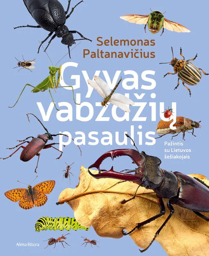 gyvas-vabzdziu-pasaulis