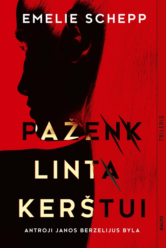 1753357175_pazenklinti_kerstui