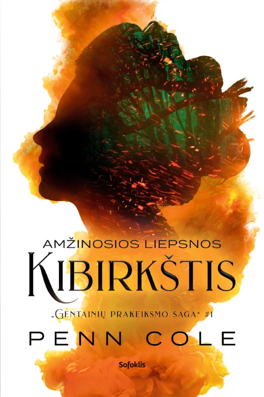 1758715908_1758612159_amzinosios-liepsnos-kibirkstis