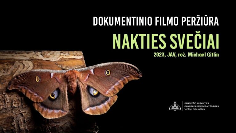 Juodame fone ant medžio tupintis drugys, kurio dominuojanti spalva ruda