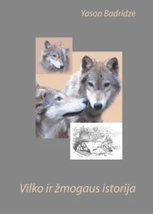 1757422007_vilko_virselis_su_nugarele_prew