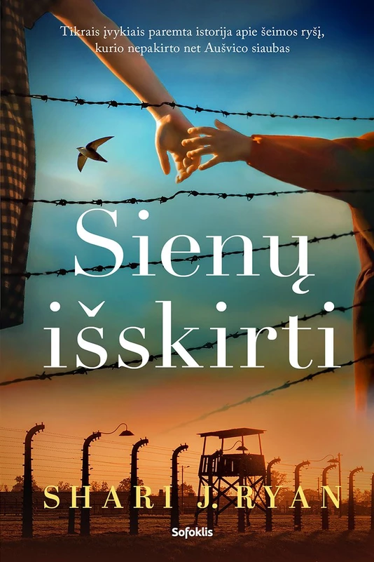 1762764094_Sienų_išskirti_I_virš