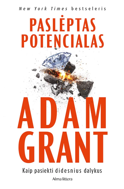 346080183f4145dffba607a70355d60101ccdfb5_Pasleptas_potencialas