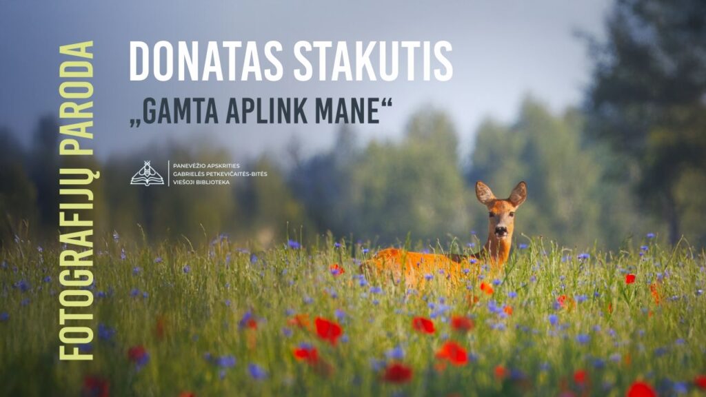 Parodoje – gamtos kūrinijos vaizdai, spalvos ir atspalviai