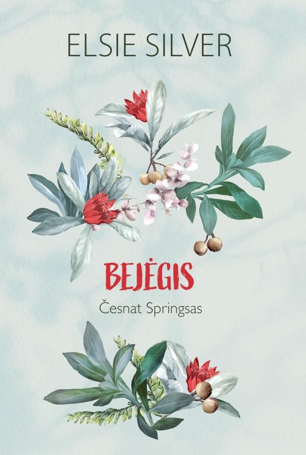 bejegis