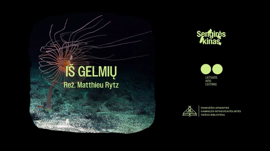 „Sengirės kine“ – kelionė į vandenyno dugną