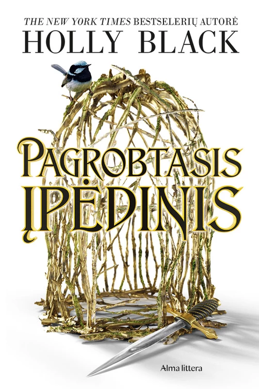 cb3e64d0fe66c8bc61bfe6c7fcf7bebba14839ef_Pagrobtasis_ipedinis