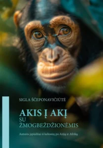 1774594795_20889382ca0516a4092d5ec0926b5e8b