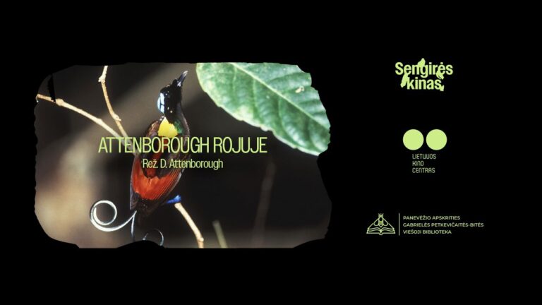 Sengirės kine minint bene garsiausio pasaulio gamtininko Davido Attenborough 100-metį bus rodomas dokumentinis filmas „Attenborough rojuje“