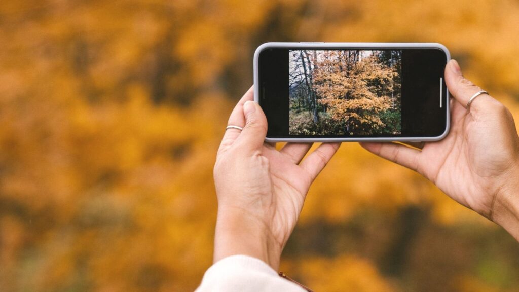 Senjorams – fotopasivaikščiojimas ir biblioterapija