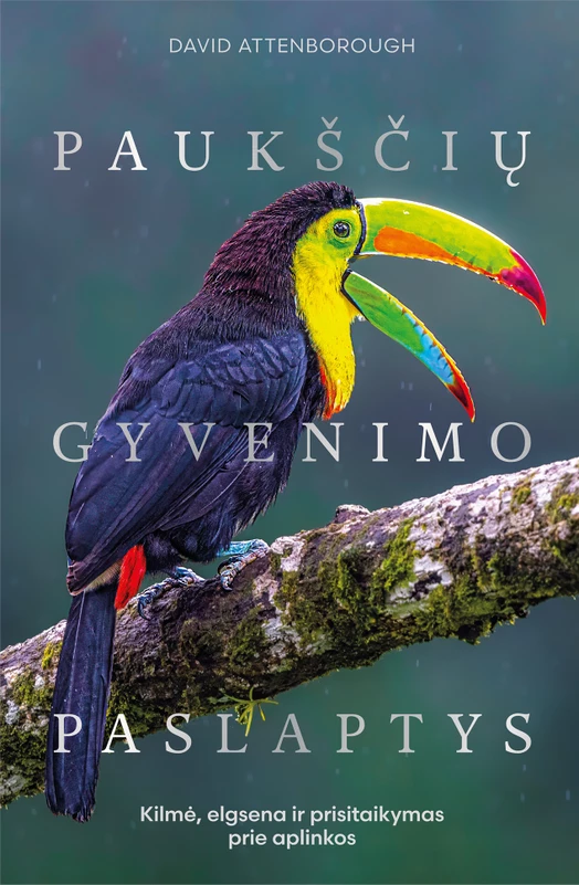 1791462950_Pauksciu_gyvenimo_paslaptys_virselis_(2)